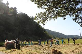 IMG_0857_w320