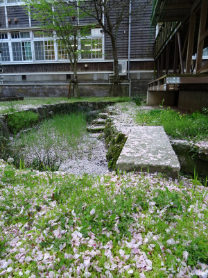 DSC03198