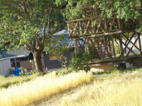 DSCN2423