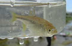 DSC05686