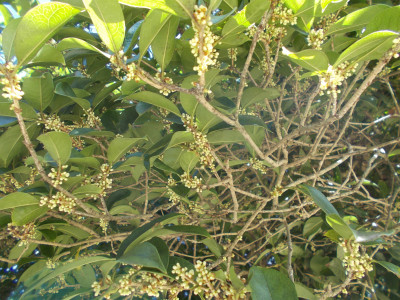 DSCN1433