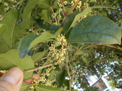DSCN1436