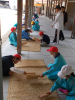 DSCN0367