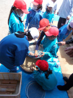 DSCN0374