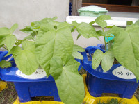 DSCN3070