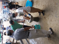 DSCN3086