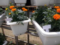 DSCN2600