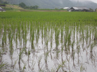 DSCN0088