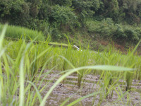 DSCN0091