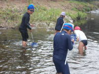DSCN0290