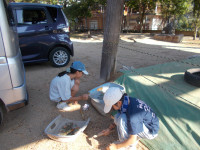 DSCN0391