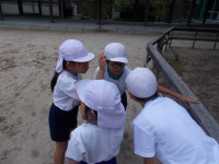 DSCN3452